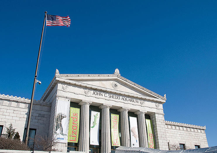 Shedd Aquarium